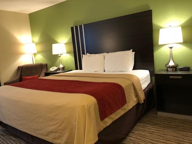 King Room - Non-Smoking